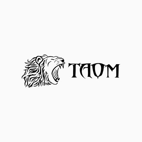 Taom Cue + Case